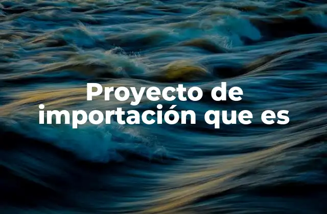 Proyecto de Importación que es