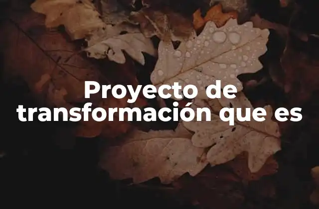 Proyecto de Transformación que es 2 Cómo se relaciona la transformación con el crecimiento empresarial