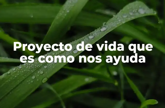 Proyecto de Vida que es como Nos Ayuda