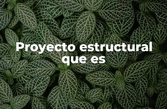 Proyecto Estructural que es