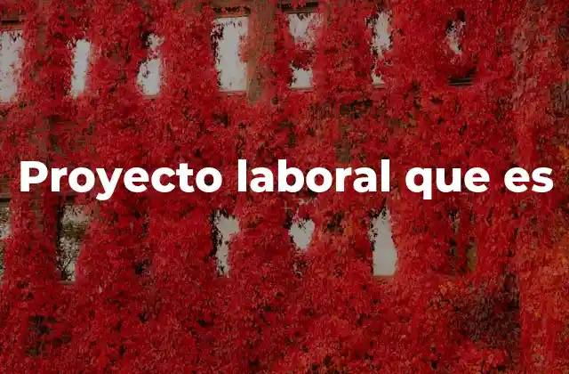 La importancia de tener un proyecto laboral claro