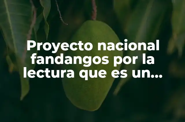 Proyecto Nacional Fandangos por la Lectura que es un Fandango