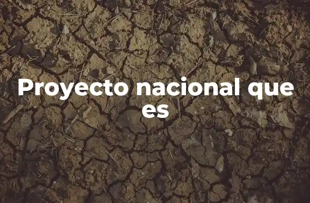 Proyecto Nacional que es