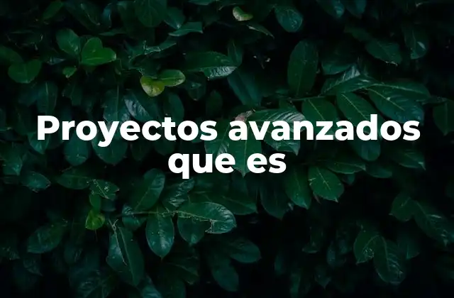 Proyectos Avanzados que es