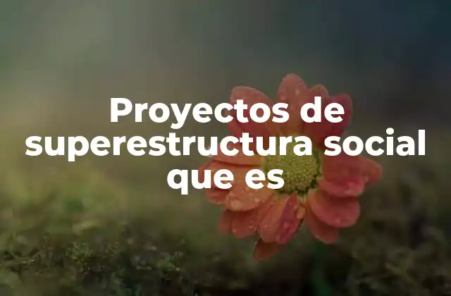 Proyectos de Superestructura Social que es