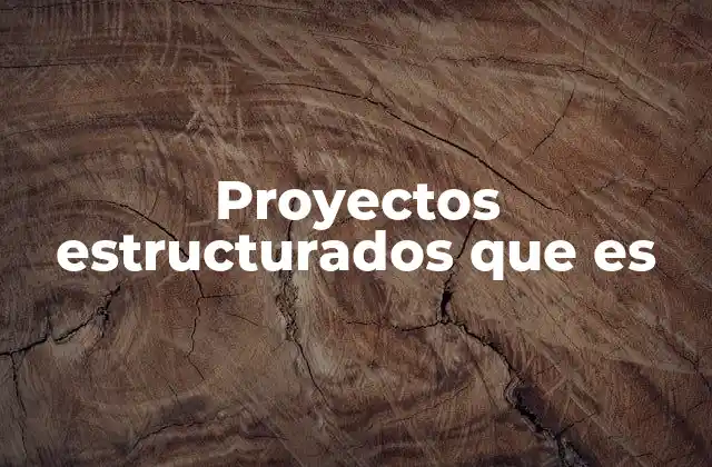 Proyectos Estructurados que es