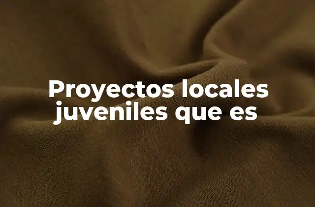 Proyectos Locales Juveniles que es