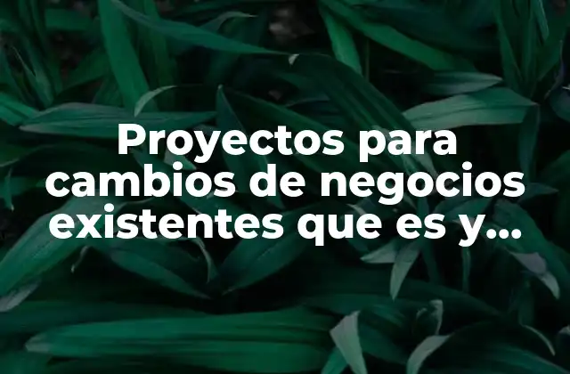 Proyectos para Cambios de Negocios Existentes que es y Caracteristicas 2 Cómo los proyectos de transformación empresarial impactan en el crecimiento