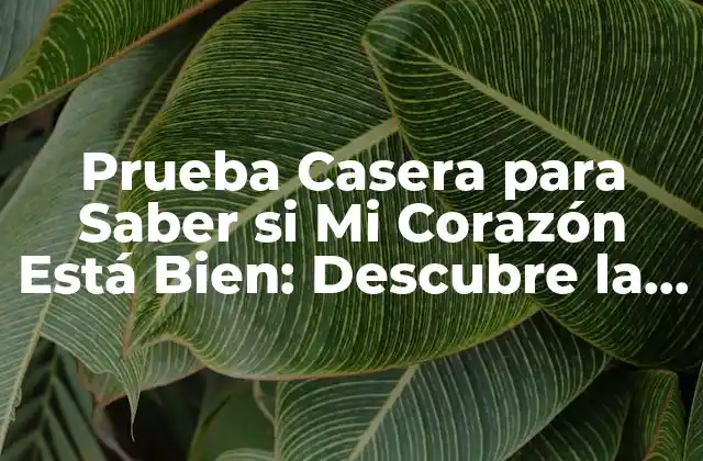 Prueba Casera para Saber Si Mi Corazón Está Bien: Descubre la Verdad