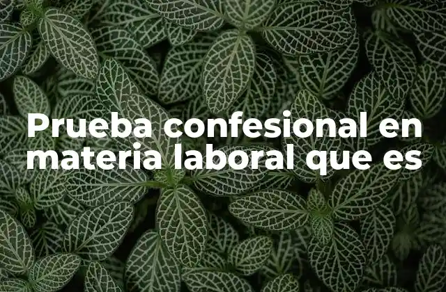 Prueba Confesional en Materia Laboral que es