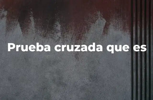 Prueba Cruzada que es