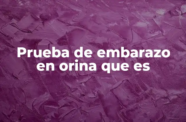 Prueba de Embarazo en Orina que es