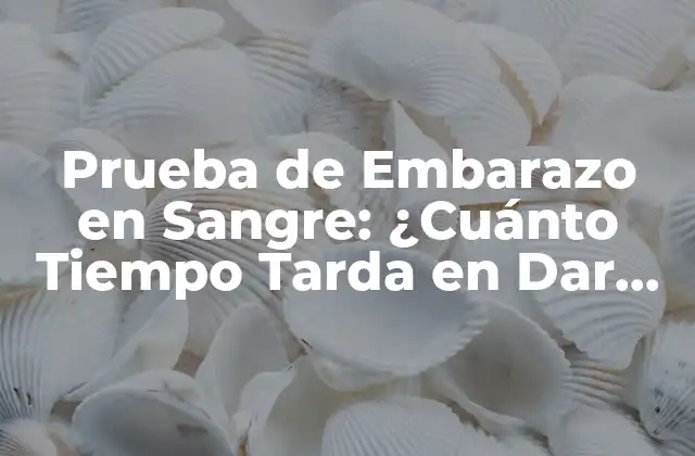 Prueba de Embarazo en Sangre: ¿cuánto Tiempo Tarda en Dar Resultados?