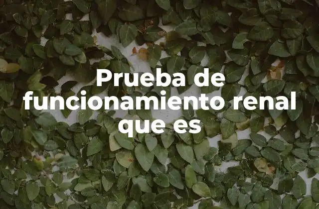La importancia de evaluar el estado de los riñones