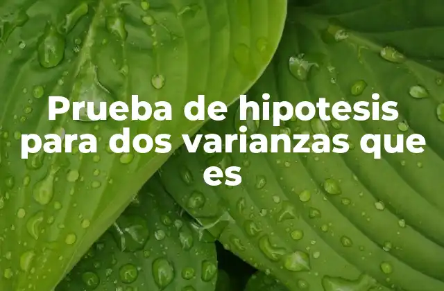 Prueba de Hipotesis para Dos Varianzas que es