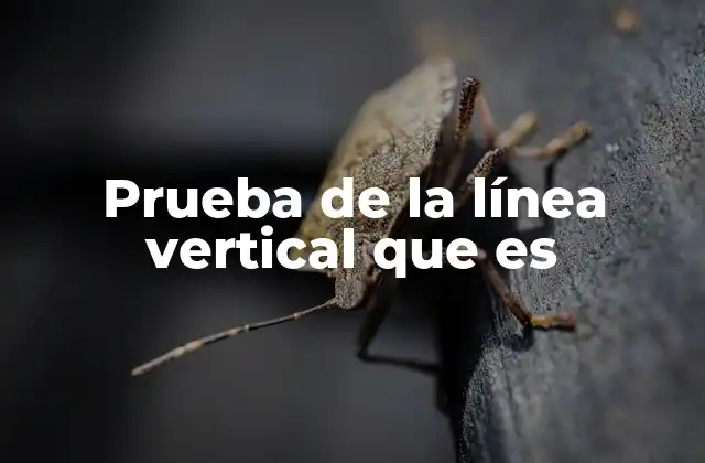 Prueba de la Línea Vertical que es 2 Cómo identificar si una gráfica es una función