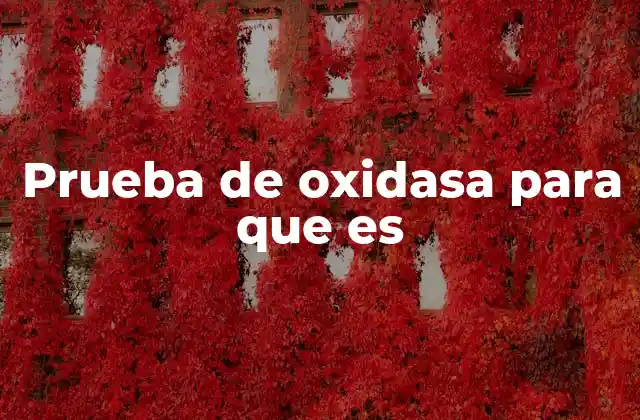 La importancia de la prueba de oxidasa en la identificación bacteriana