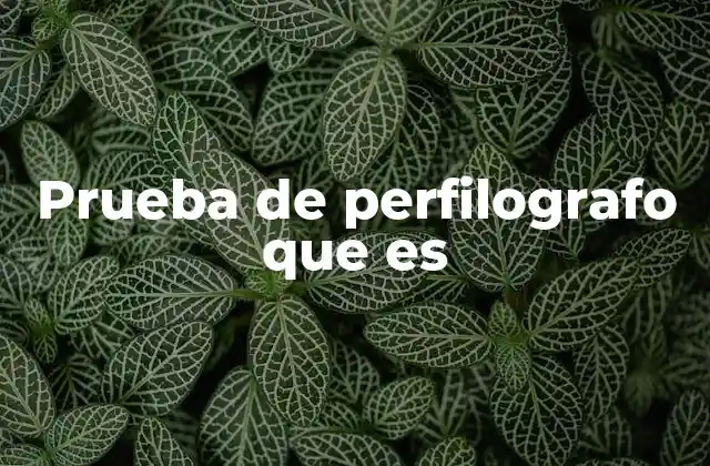 Prueba de Perfilografo que es