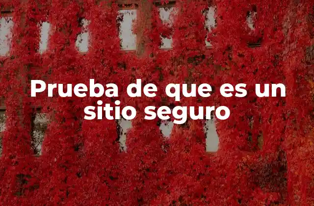 Prueba de que es un Sitio Seguro