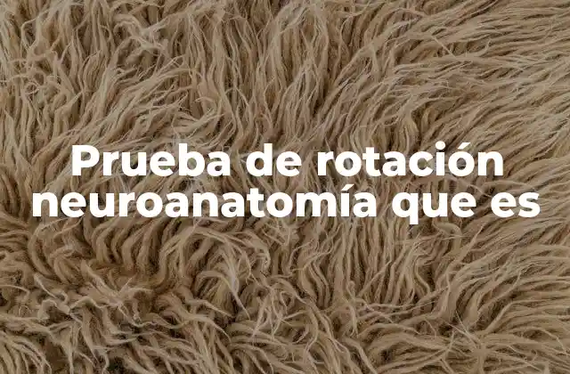 Prueba de Rotación Neuroanatomía que es