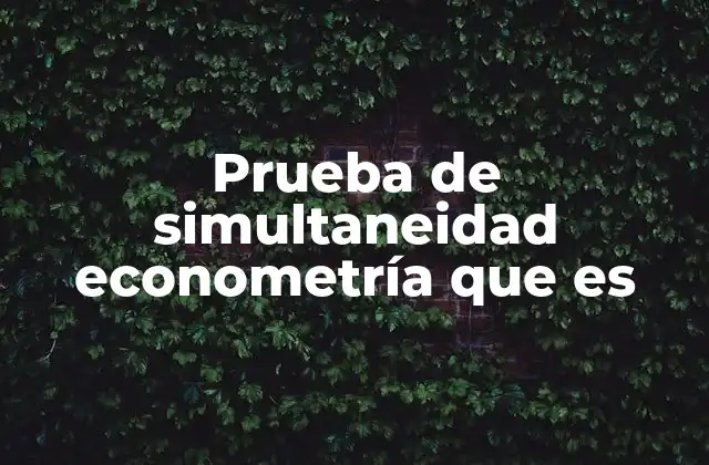 Prueba de Simultaneidad Econometría que es