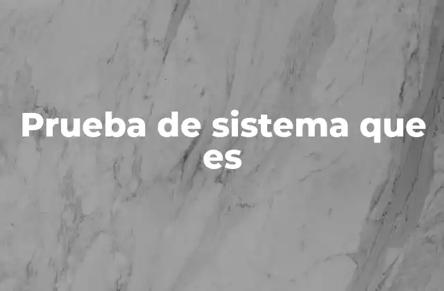 Prueba de Sistema que es