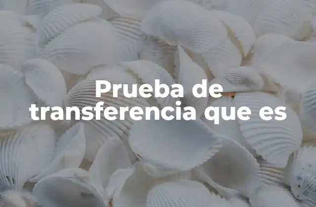 Prueba de Transferencia que es