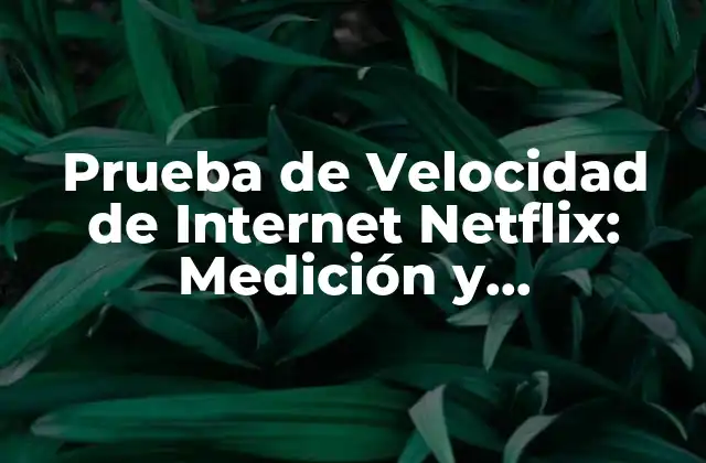 ¿Por qué es Importante la Prueba de Velocidad de Internet Netflix?