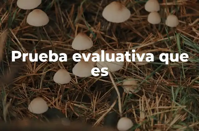 Prueba Evaluativa que es