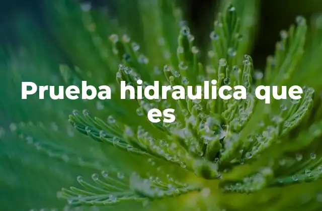 Prueba Hidraulica que es