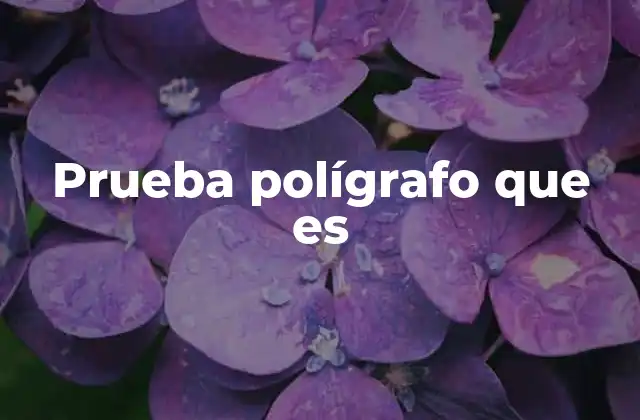 Prueba Polígrafo que es