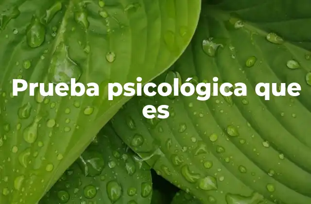 Prueba Psicológica que es 2 La importancia de las herramientas de evaluación psicológica