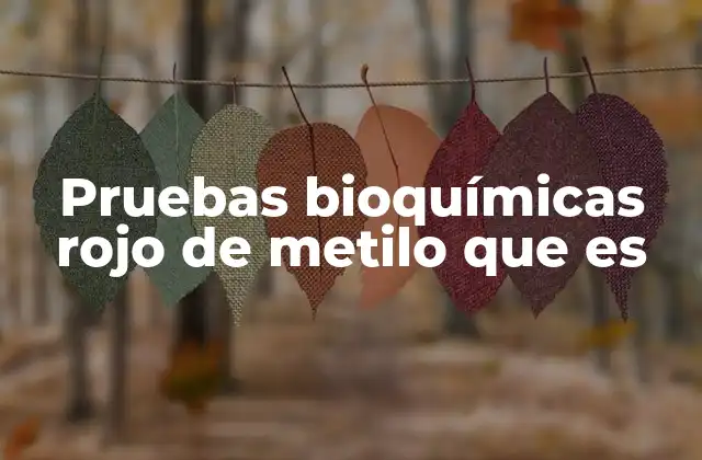 Pruebas Bioquímicas Rojo de Metilo que es 2 El rojo de metilo como herramienta en microbiología