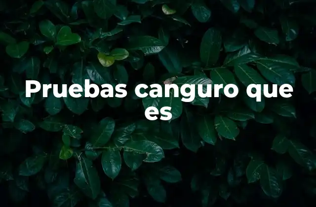 Pruebas Canguro que es