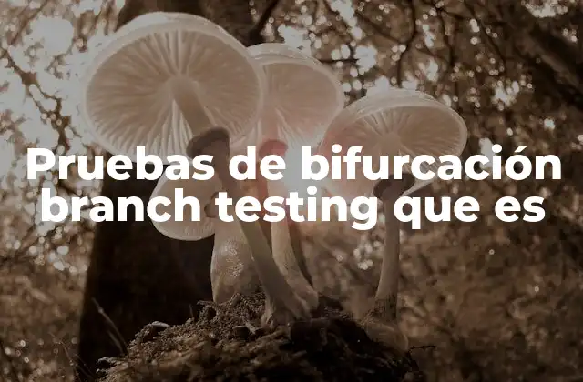 Pruebas de Bifurcación Branch Testing que es 2 La importancia de verificar cada decisión lógica