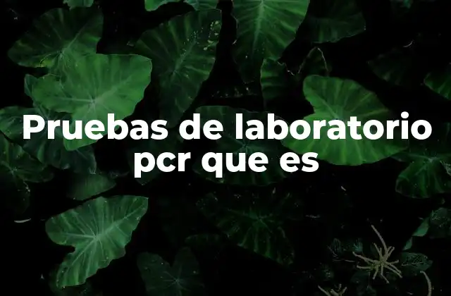Pruebas de Laboratorio Pcr que es 2 Aplicaciones clínicas y científicas de la PCR