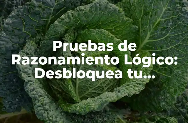 Pruebas de Razonamiento Lógico: Desbloquea Tu Potencial para Resolver Problemas