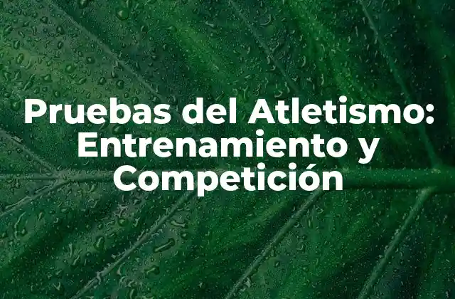 Pruebas Del Atletismo: Entrenamiento y Competición