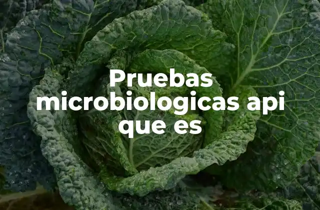 Pruebas Microbiologicas Api que es