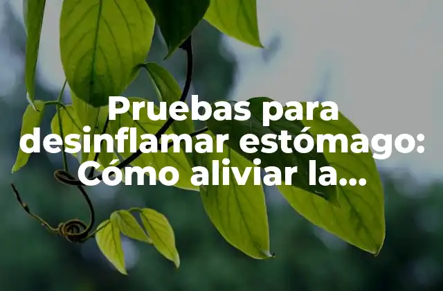 Pruebas para Desinflamar Estómago: Cómo Aliviar la Hinchazón y el Dolor