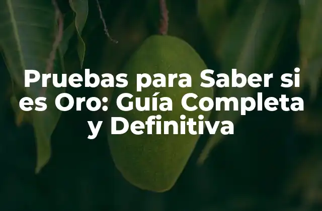 Pruebas para Saber Si es Oro: Guía Completa y Definitiva