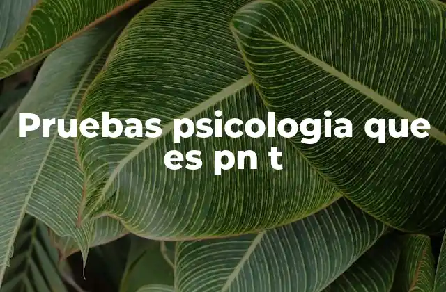 El papel de las pruebas de personalidad en la psicología moderna