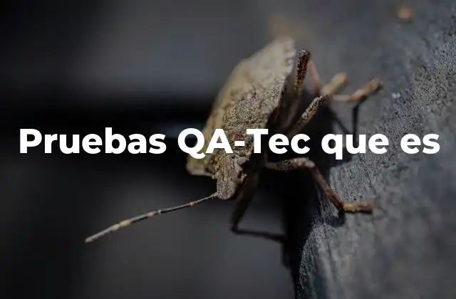 Pruebas Qa-tec que es