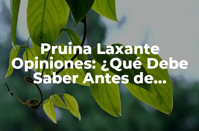 Pruina Laxante Opiniones: ¿qué Debe Saber Antes de Comprar?