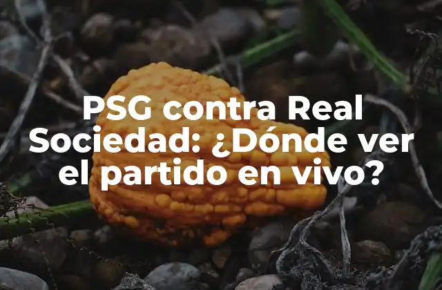 Psg contra Real Sociedad: ¿dónde Ver el Partido en Vivo?