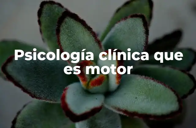Psicología Clínica que es Motor