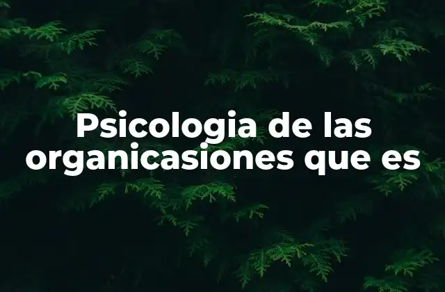 Psicologia de las Organicasiones que es