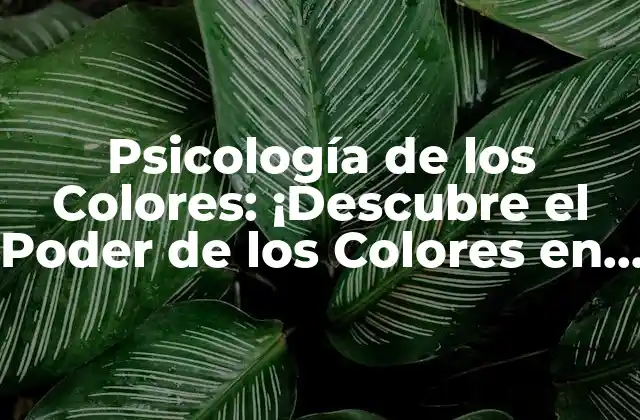 Psicología de los Colores: ¡descubre el Poder de los Colores en Tu Vida! 2 ¿Qué es la Psicología de los Colores?