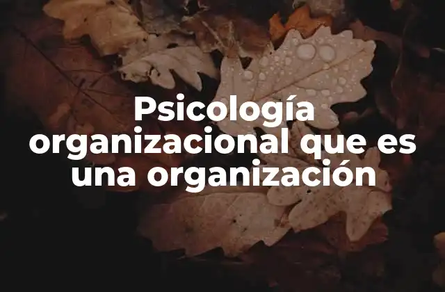 Psicología Organizacional que es una Organización