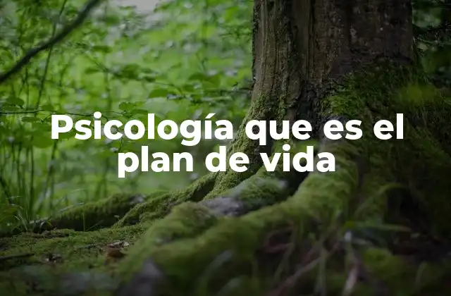 Psicología que es el Plan de Vida